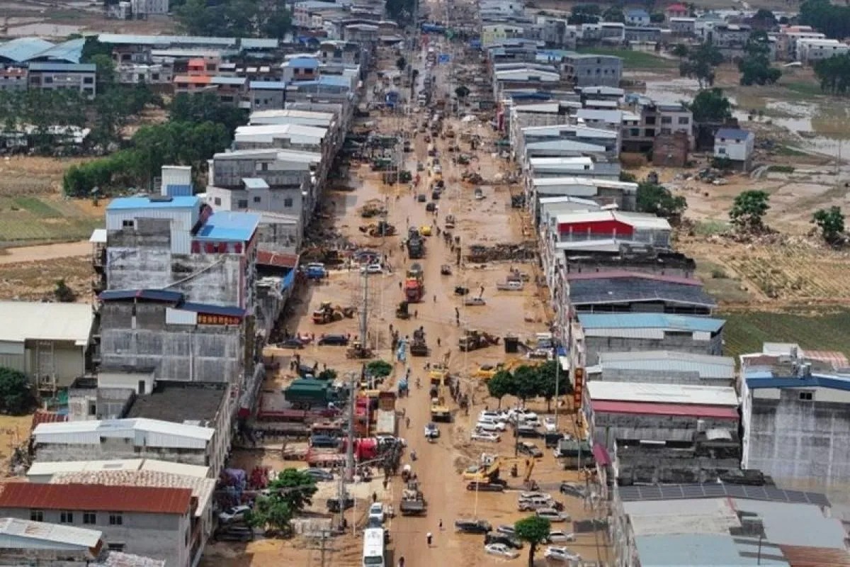 3 Singa Mati Tenggelam di Kebun Binatang China Akibat Banjir