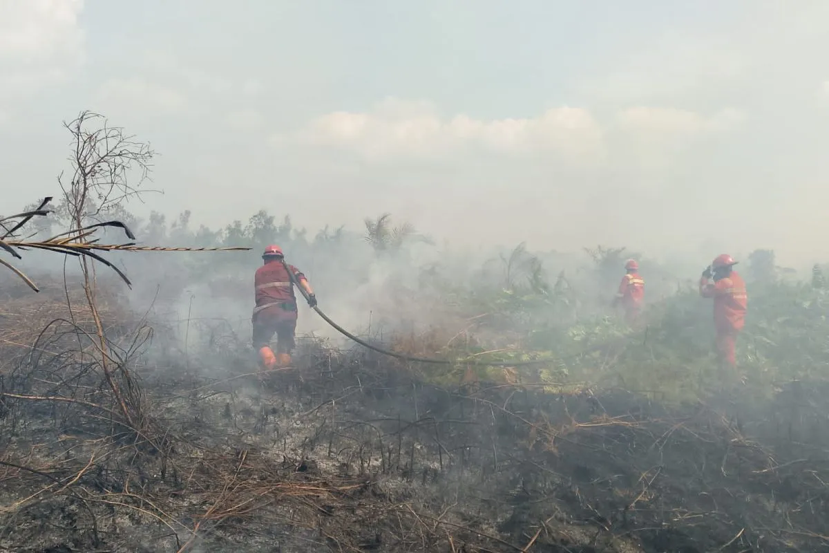 BNPB: Karhutla Blora dan Klaten Berhasil Ditangani Cepat