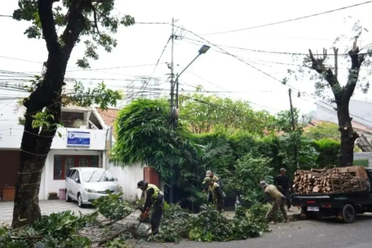 Jakarta Selatan Pangkas 19 Ribu Pohon Antisipasi Bahaya Tumbang