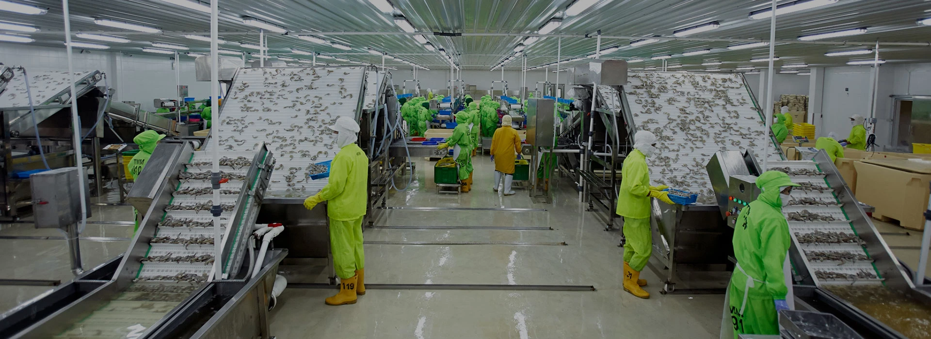 PMMP Tegaskan Kaesang Bukan Pemegang Saham Pengendali