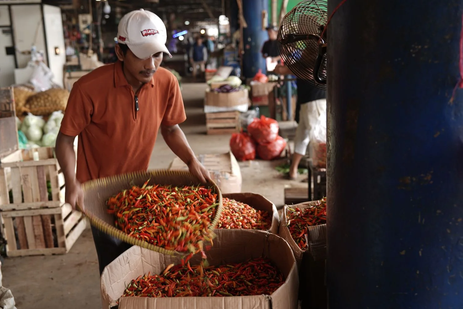 Harga Pangan 5 Agustus 2026: Cabai Rawit Merah Rp45.150 per Kg, Telur Rp24.000