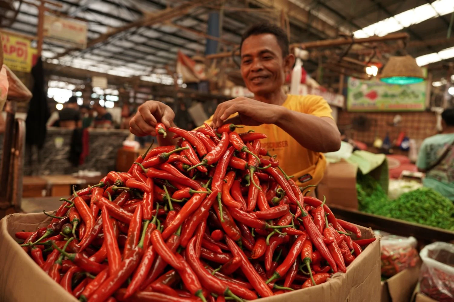 Harga Cabai Turun, Jakarta Deflasi 0,15 % pada Juli 2026