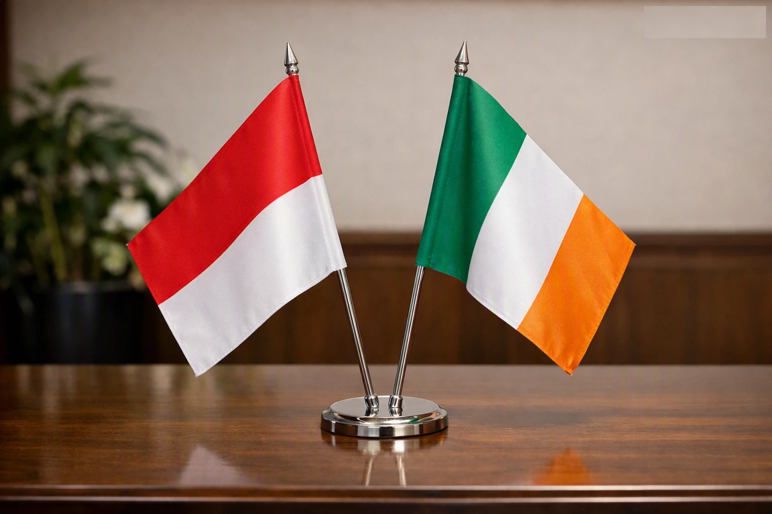 Indonesia-Irlandia Rayakan 42 Tahun Diplomatik lewat LoI Baru