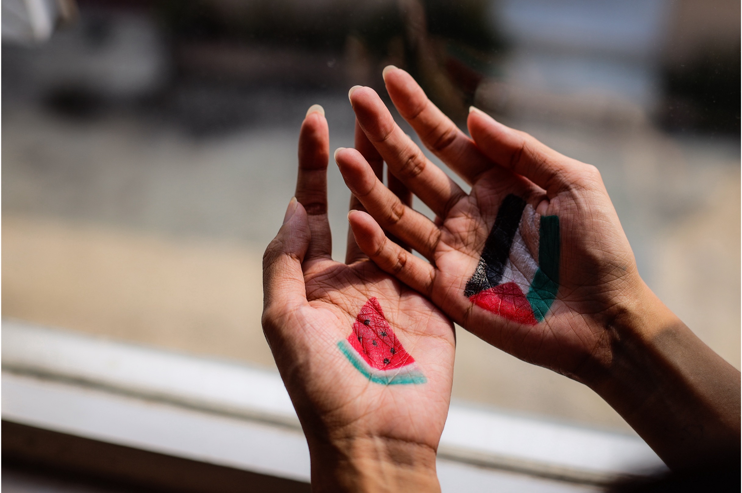 Dukungan terhadap Palestina