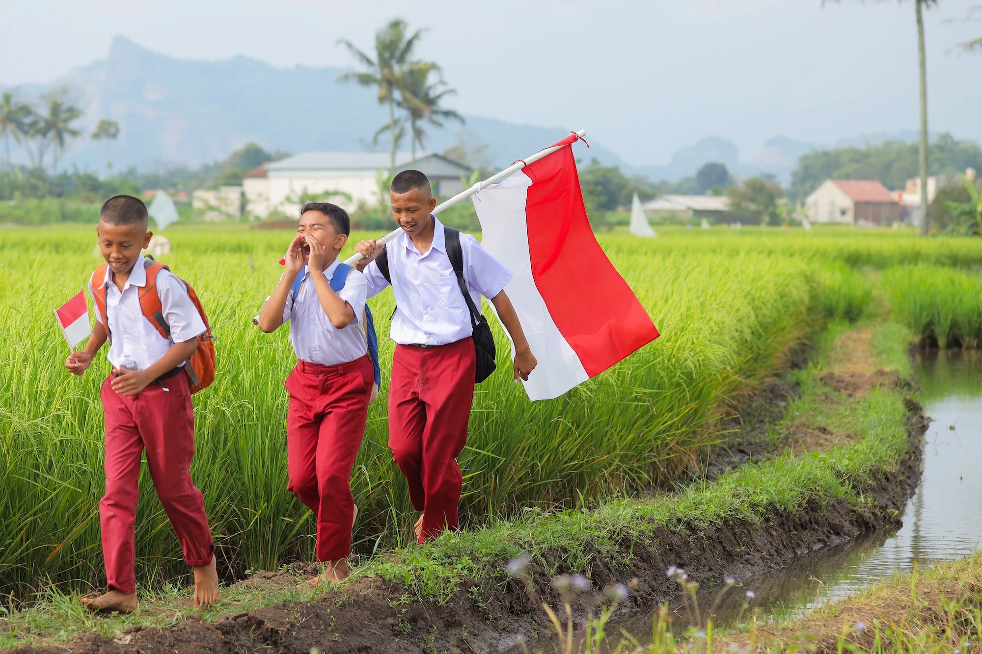 Sejarah Kurikulum Pendidikan Indonesia dari 1947 hingga Kurikulum Merdeka