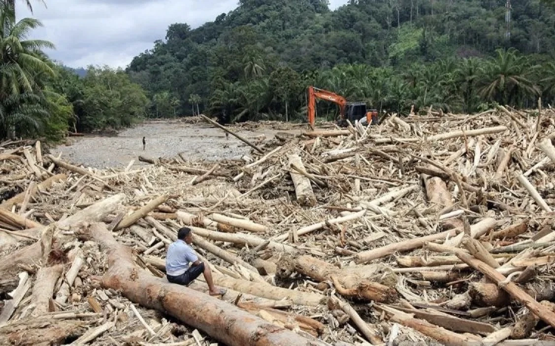 Prabowo Sudah Tahu Pemicu Banjir Sumatra, Diduga Pembalakan Liar