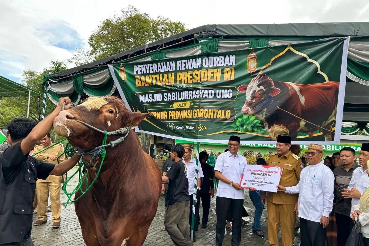 Prabowo Salurkan 1.098 Sapi Kurban Premium ke Seluruh Indonesia