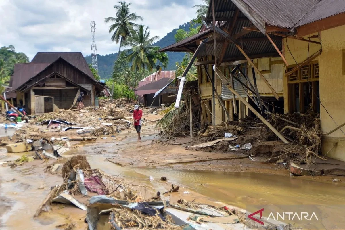 Fetish Sawit dan Tragedi Banjir Sumatra: Ketika Hutan Dibayar Nyawa