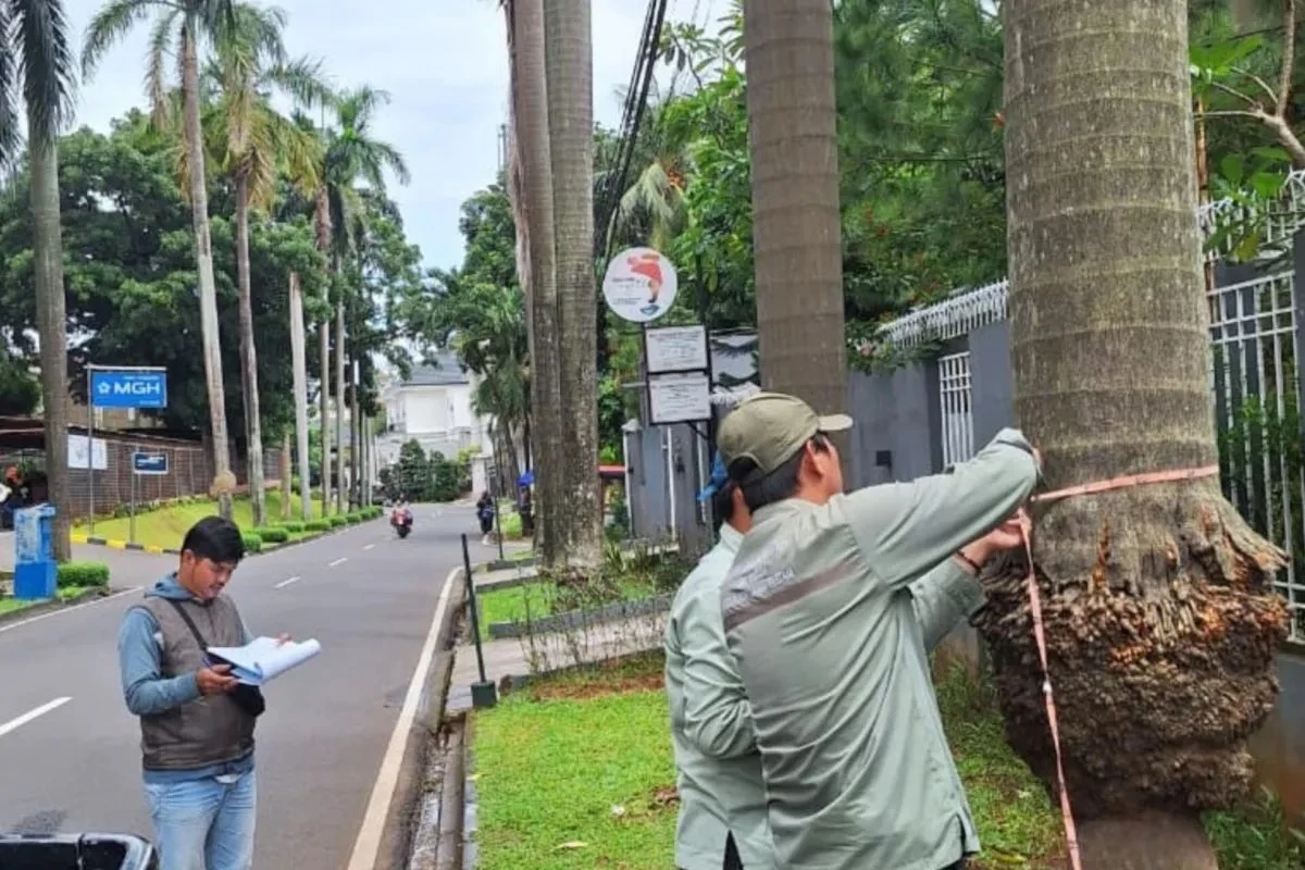 Hadapi Cuaca Ekstrem, DKI Aktifkan Tim Siaga Pohon Tumbang