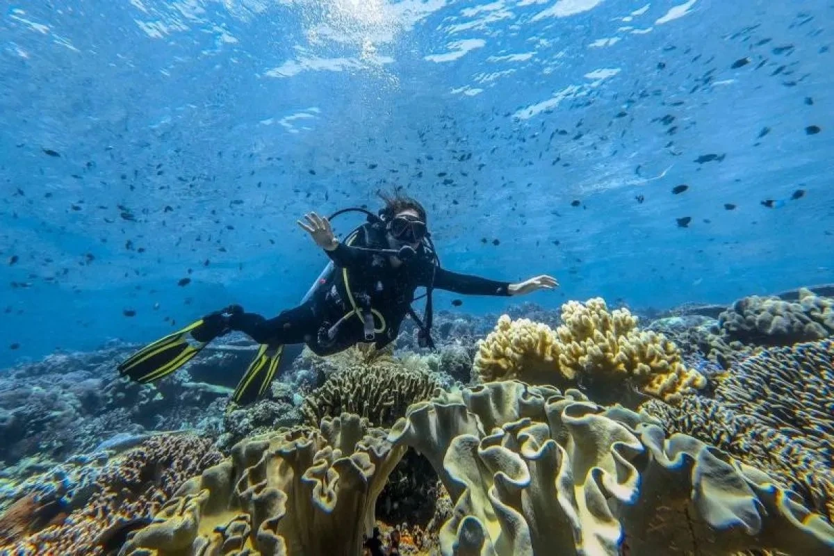 ‘Wonderful Indonesia Diving Directory’, Rujukan Penyelam Profesional