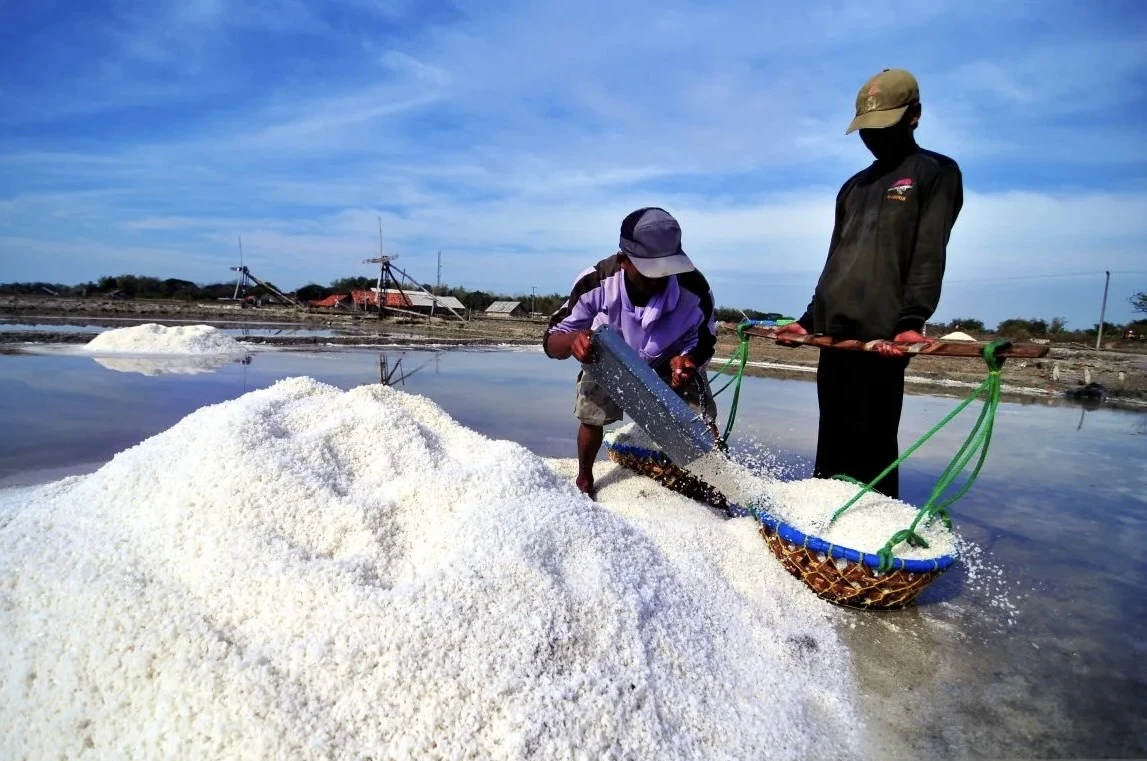 Produksi Nasional 2025 Hanya 1 Juta Ton, RI Perlu Impor Garam Hingga 3 Juta Ton
