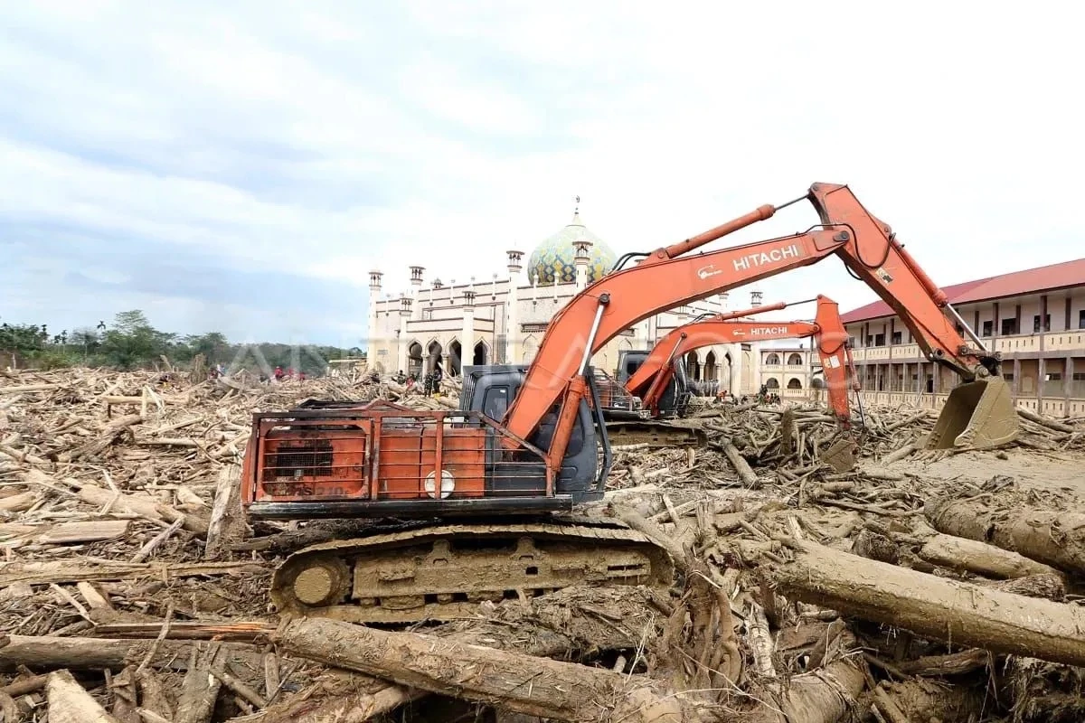 Kemenhut: Kayu yang Terbawa Banjir Bisa Dimanfaatkan Pemda Sesuai Peruntukan
