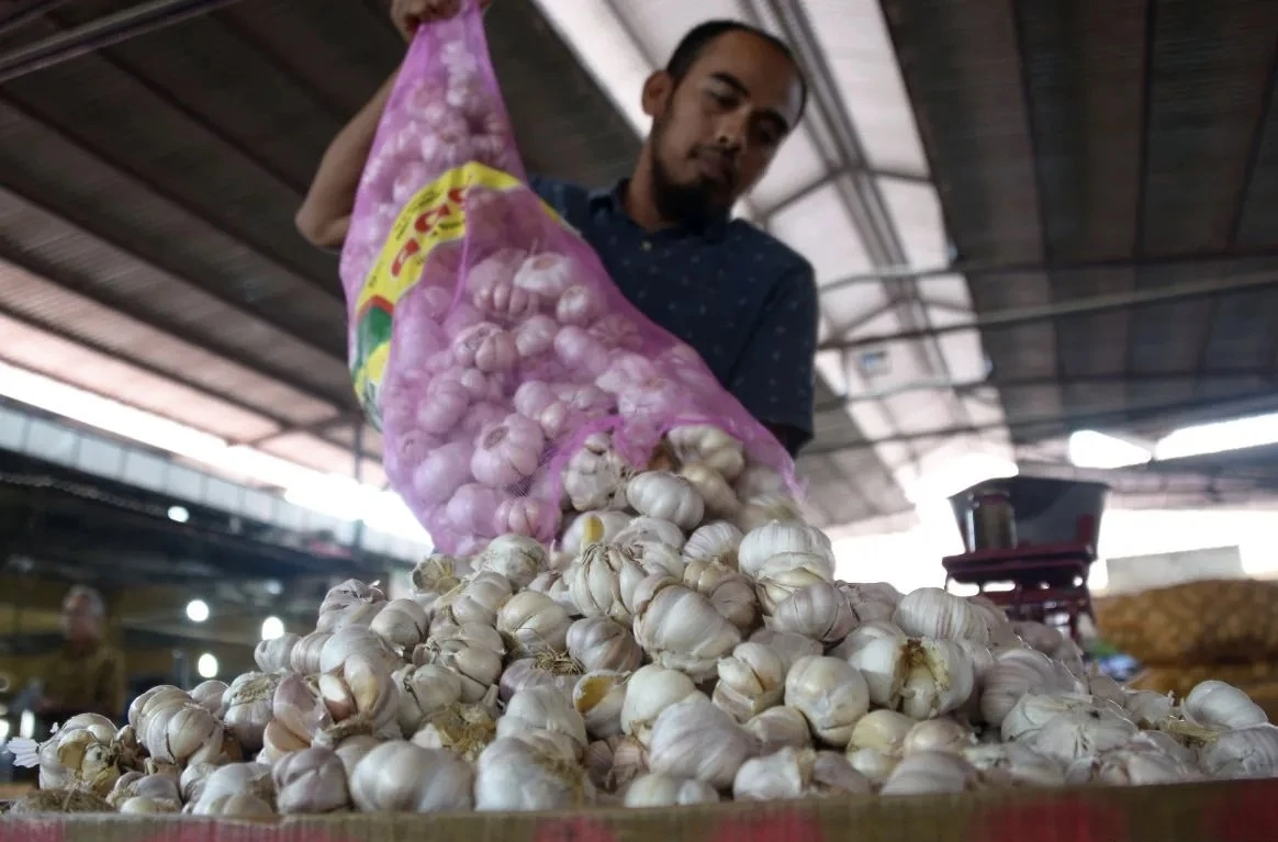Siapkan 100 Ribu Hektare Lahan, Kementan Bidik Swasembada Bawang Putih 3 Tahun