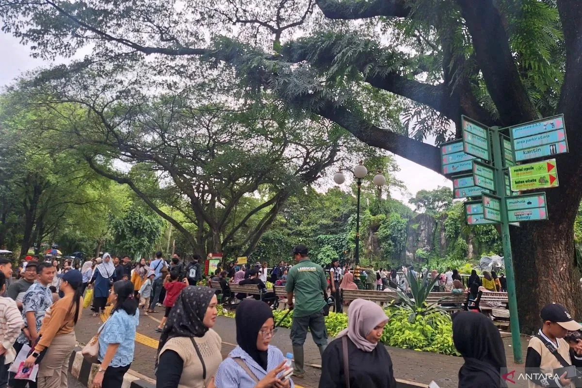 Pengunjung Tahun Baru Membludak, TM Ragunan Evaluasi Pengaturan Lalin