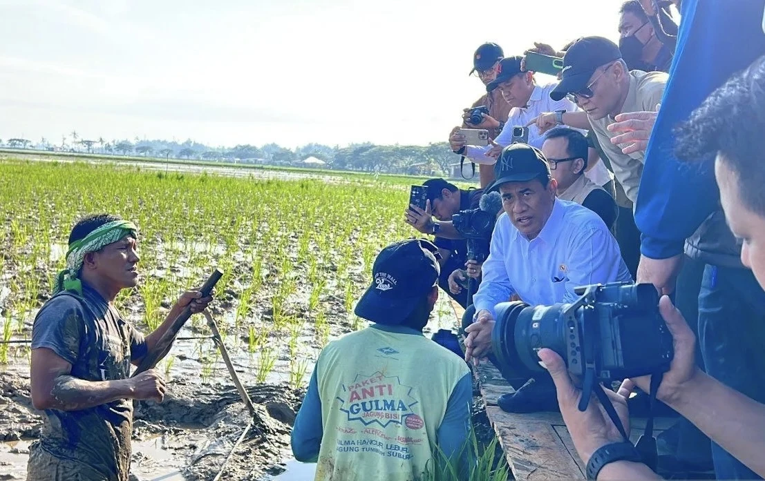 15 Negara dengan Lahan Pertanian Terluas di Dunia, Ini Posisi Indonesia