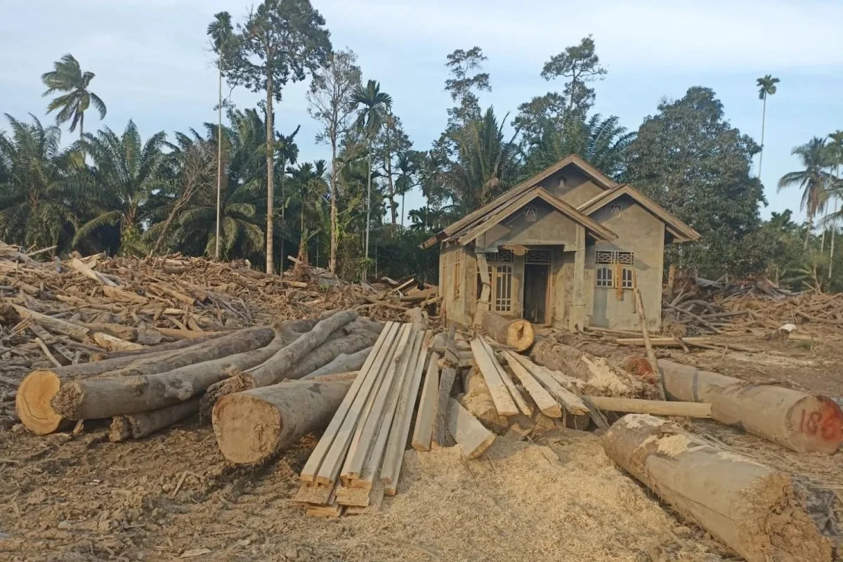 Kemenhut Data 1.260 Meter Kubik Kayu Untuk Dimanfaatkan Warga di Aceh Utara