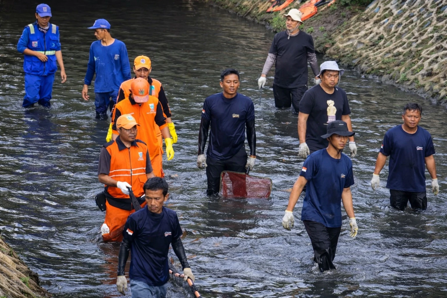 Ikan Sapu-Sapu di Sungai Jakarta: Bahaya, Dampak, dan Cara Mengatasinya