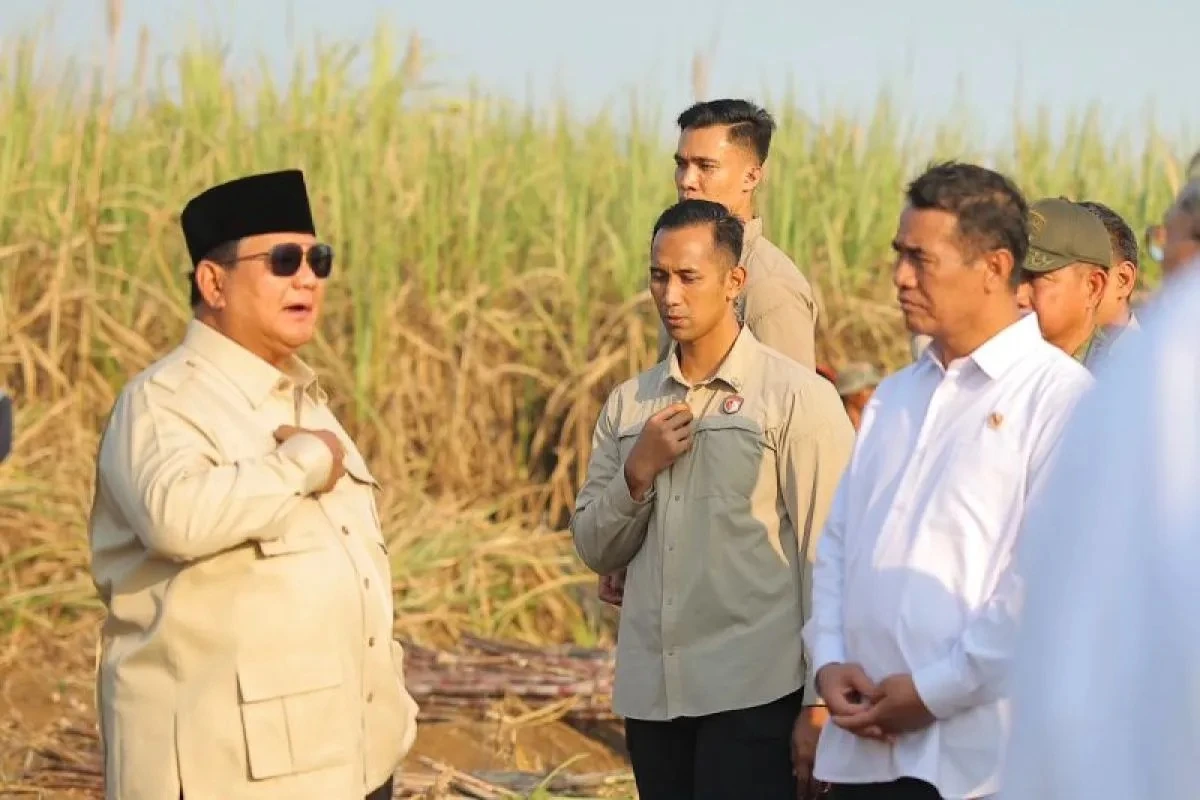 Kejar Swasembada, Pabrik Gula Diwajibkan Punya Kebun Tebu