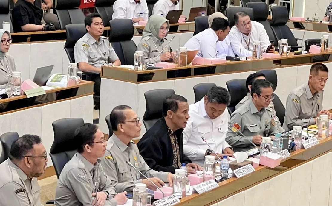 Mentan: Produksi Beras-Jagung Aman, Tak Perlu Impor