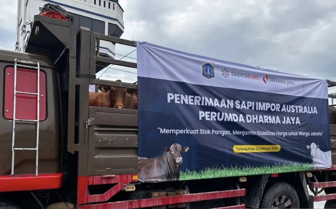 Demi Ketahanan Pangan, DKI Bangun Kandang Sapi Baru di Ciangir, Banten