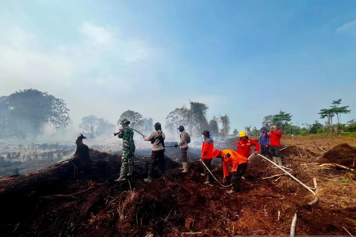 19 Perusahaan Diduga Biang Karhutla, Rugikan Negara Rp5,3 T