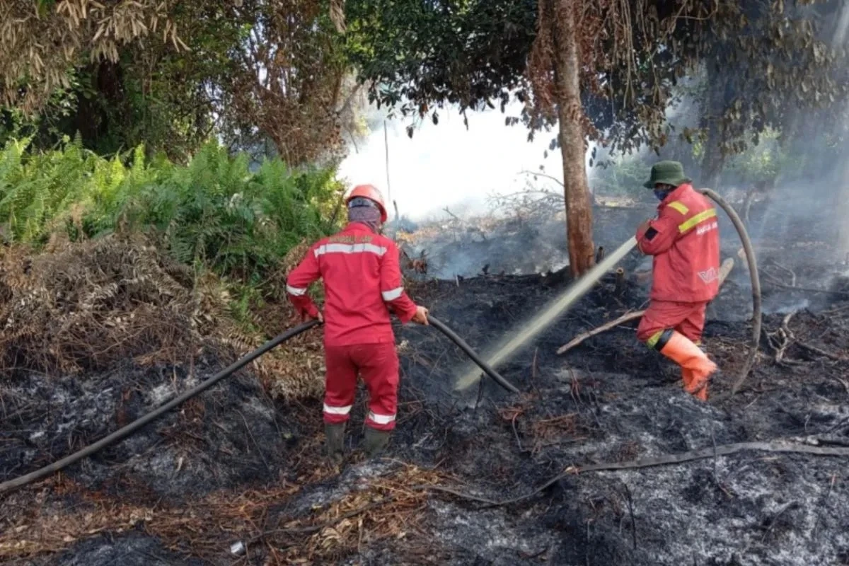 penanganan kebakaran hutan dan lahan (karhutla) di Riau