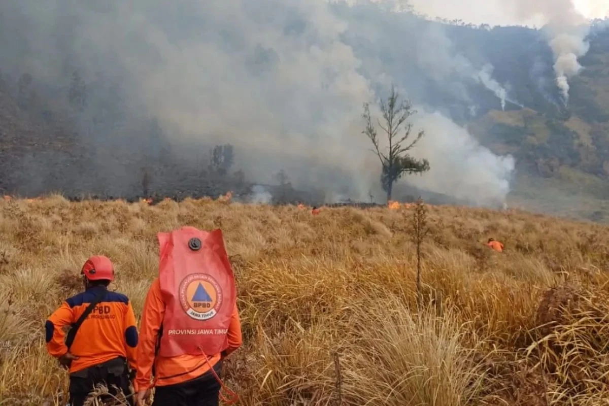 Karhutla Bromo Meluas 7,9 Hektare, Tiga Akses Wisata Ditutup