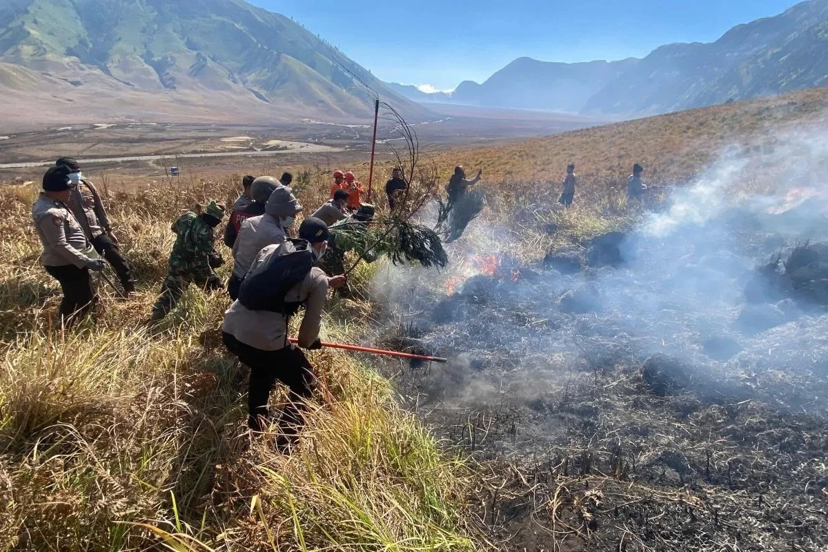 Karhutla Bromo Meluas 86 Hektare, 150 Personel Gabungan Dikerahkan