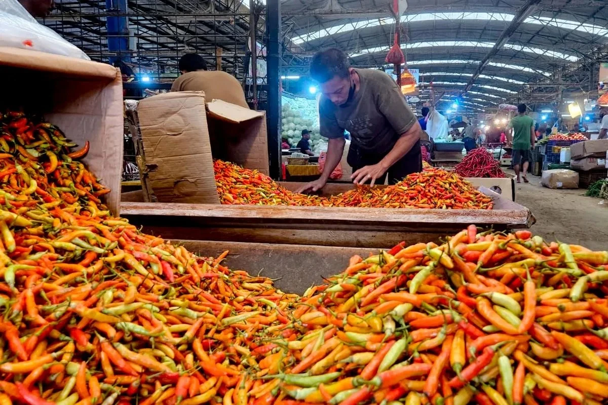 pedagang cabai rawit merah