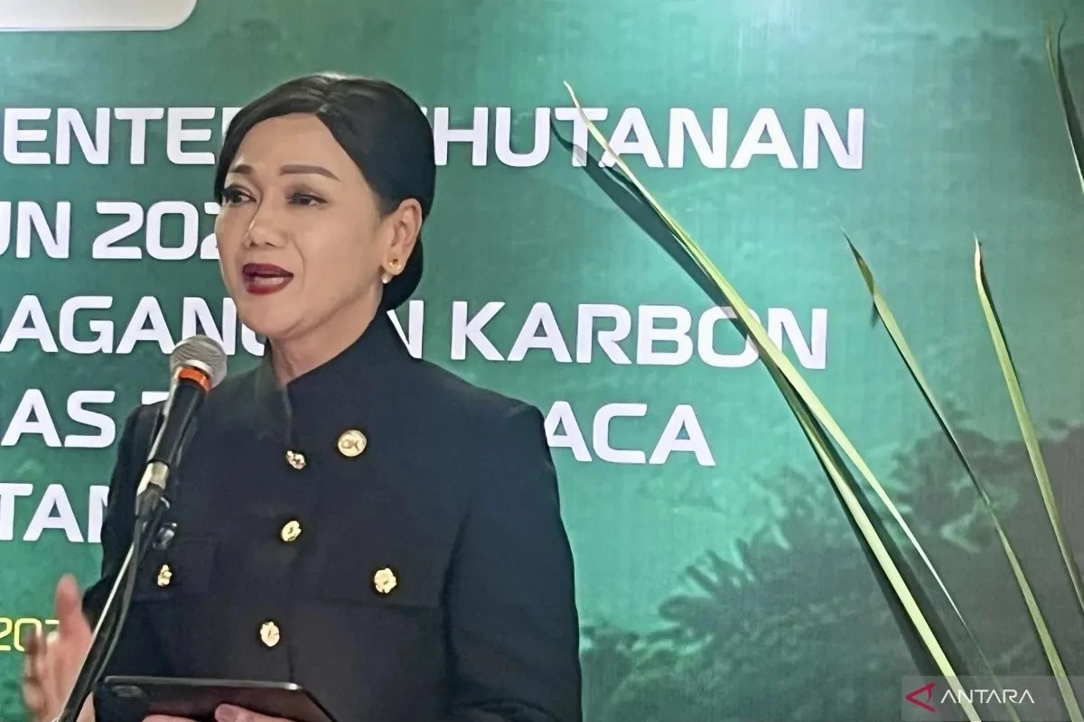 Ketua Dewan Komisioner Otoritas Jasa Keuangan (OJK) Friderica Widyasari Dewi