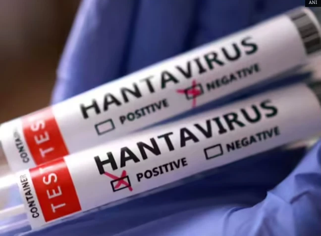 Cegah Hantavirus, Kemenkes Perketat Pengawasan Penumpang dari Amerika Selatan