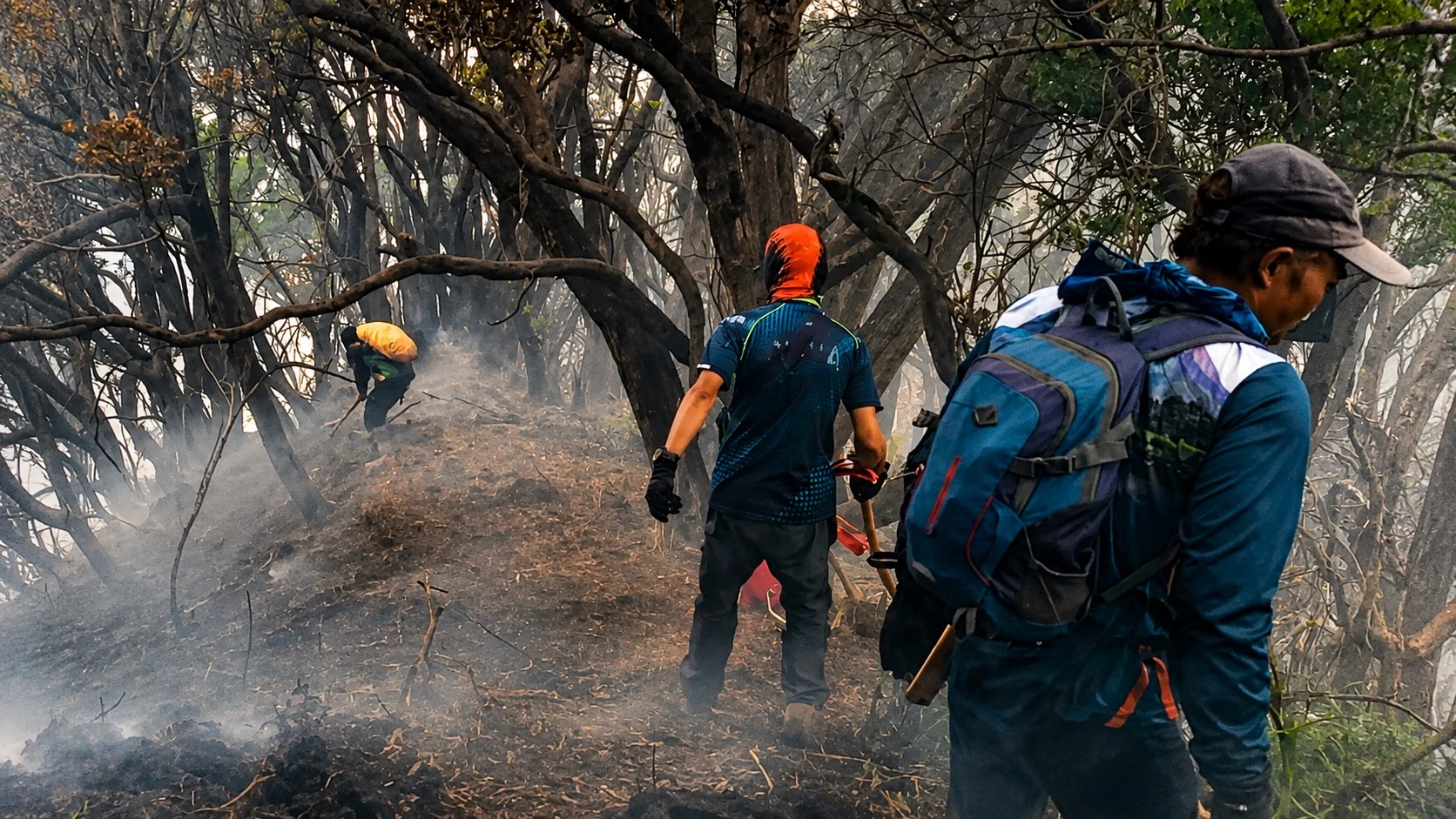 Kebakaran Gunung Gede Meluas 6 Hektare, 150 Petugas Masih Berjibaku Padamkan Api