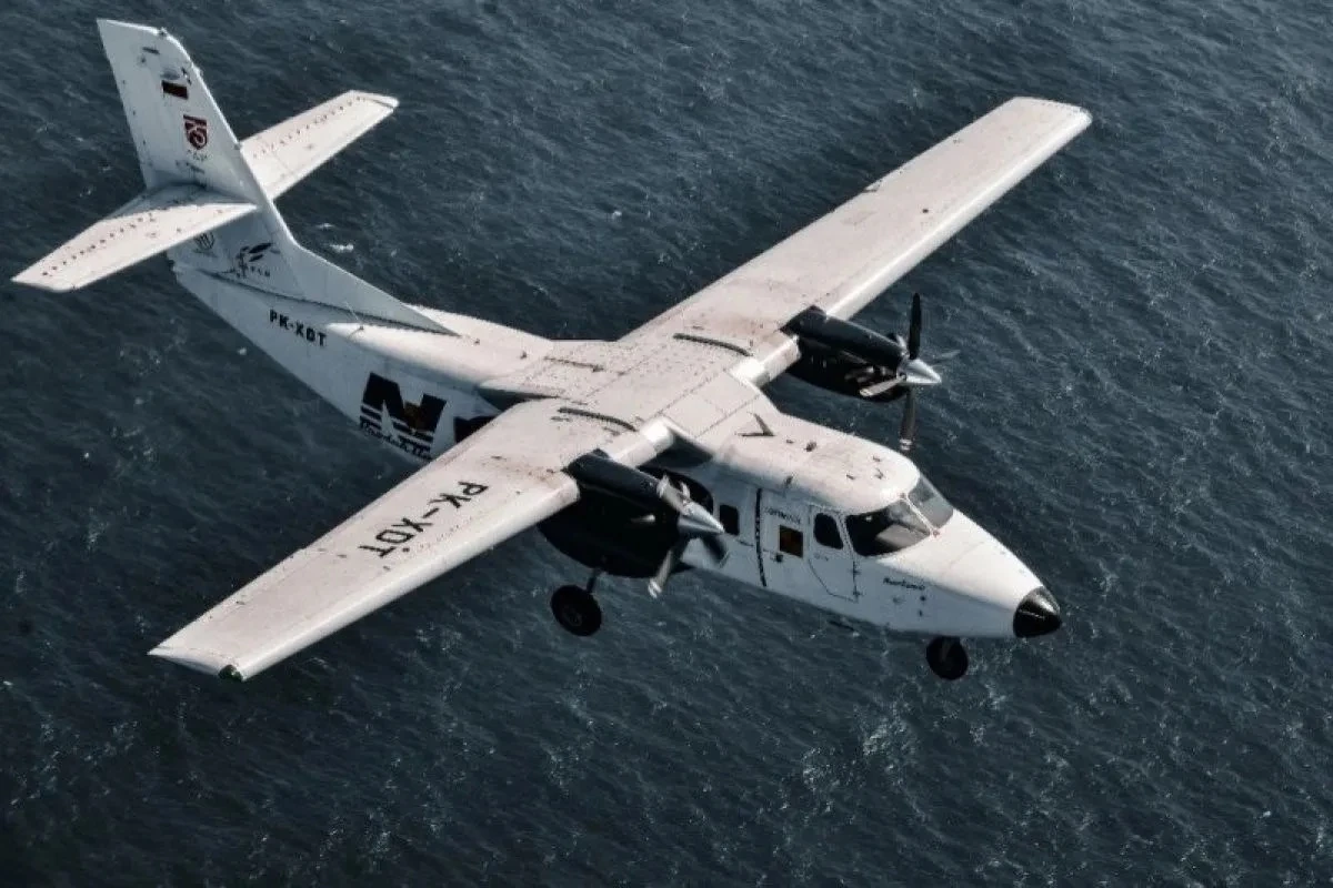 Pesawat N219