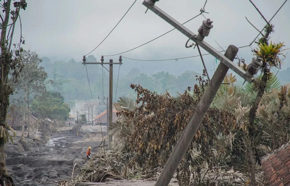 Erupsi Semeru Rusak 204 Hektare Lahan, 528 Warga Mengungsi