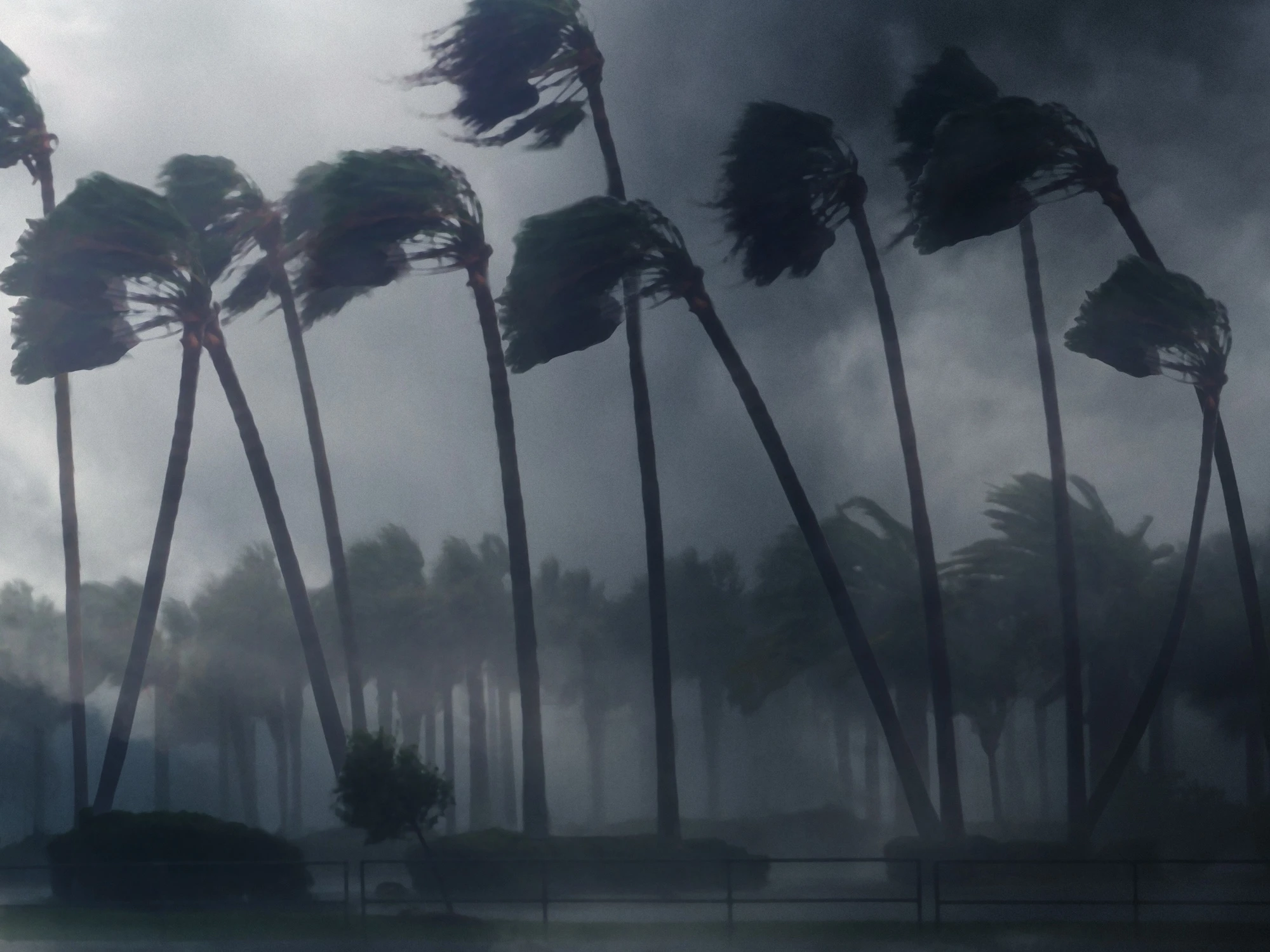 Dikepung Siklon Tropis, Indonesia Masuk Tropical Cyclone Warning Center, Apa Artinya?