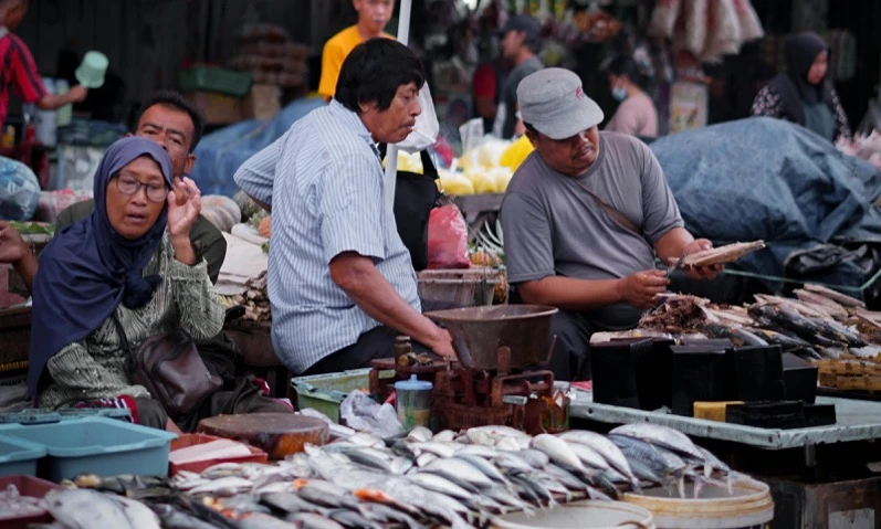BPS: Harga Ikan Segar Naik karena Kenaikan Solar