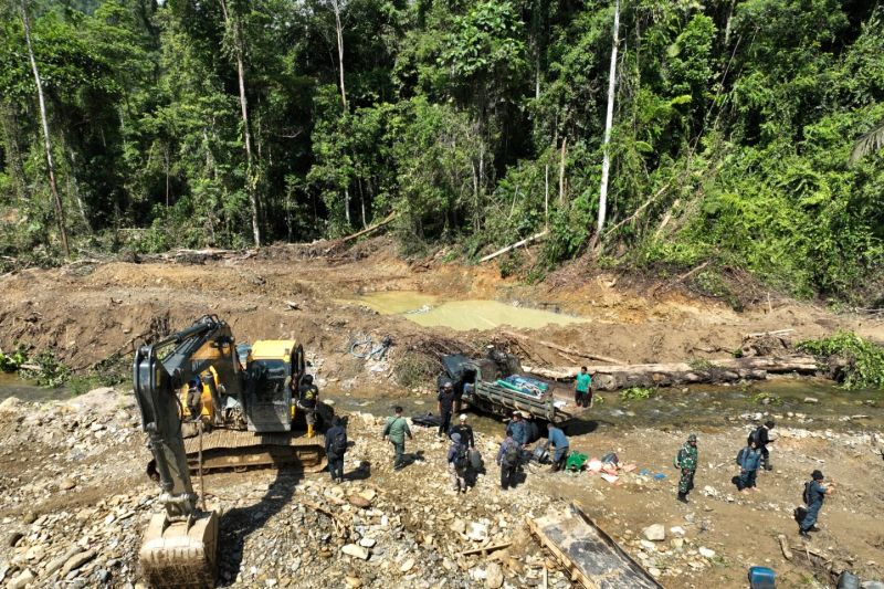 KPK: Potensi Kerugian Negara akibat Kerusakan Hutan Capai Rp175 Triliun