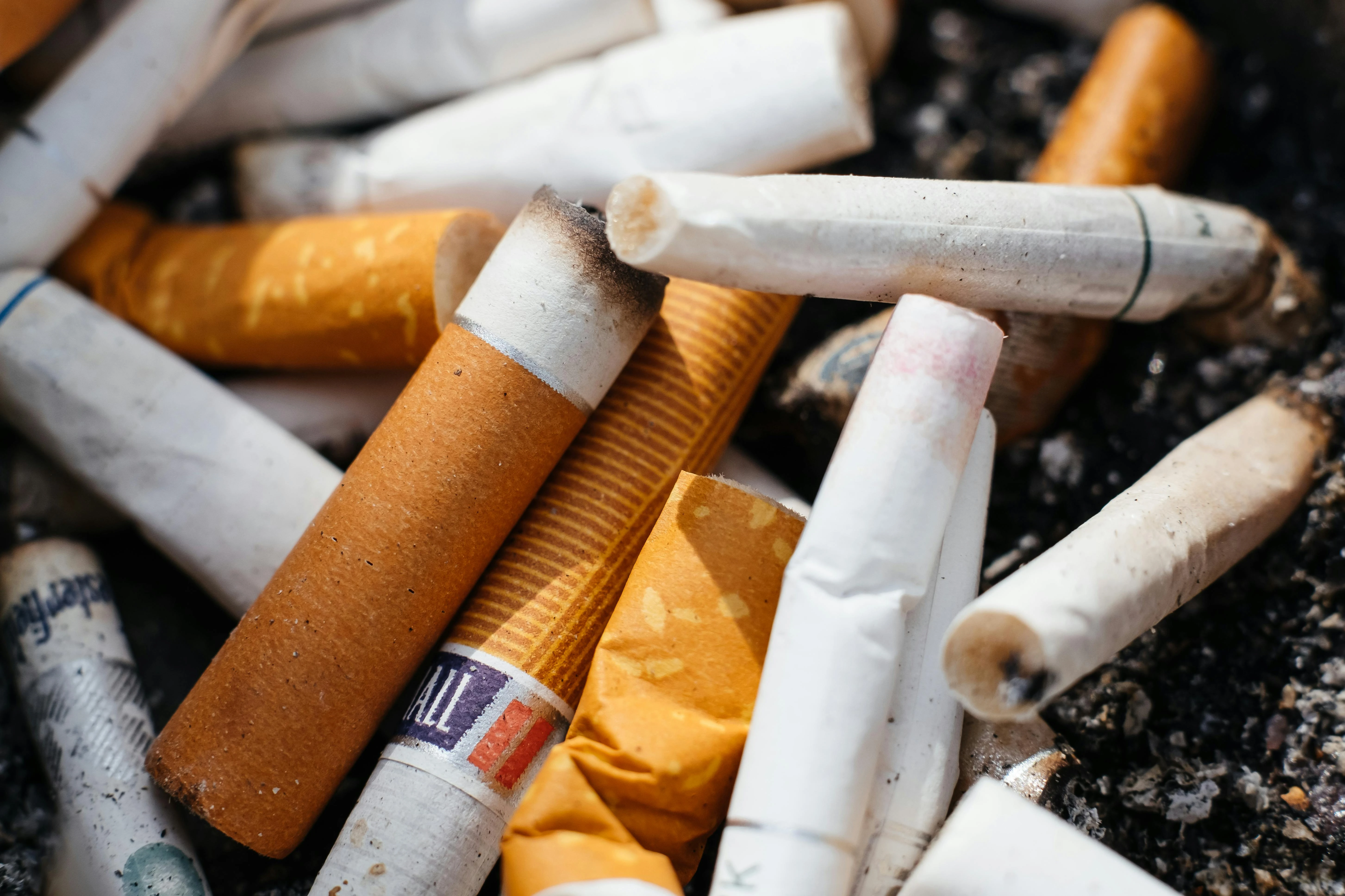 Miris! Data BPS Ungkap Rakyat Lebih Rela Beli Rokok Ketimbang Lauk Pauk