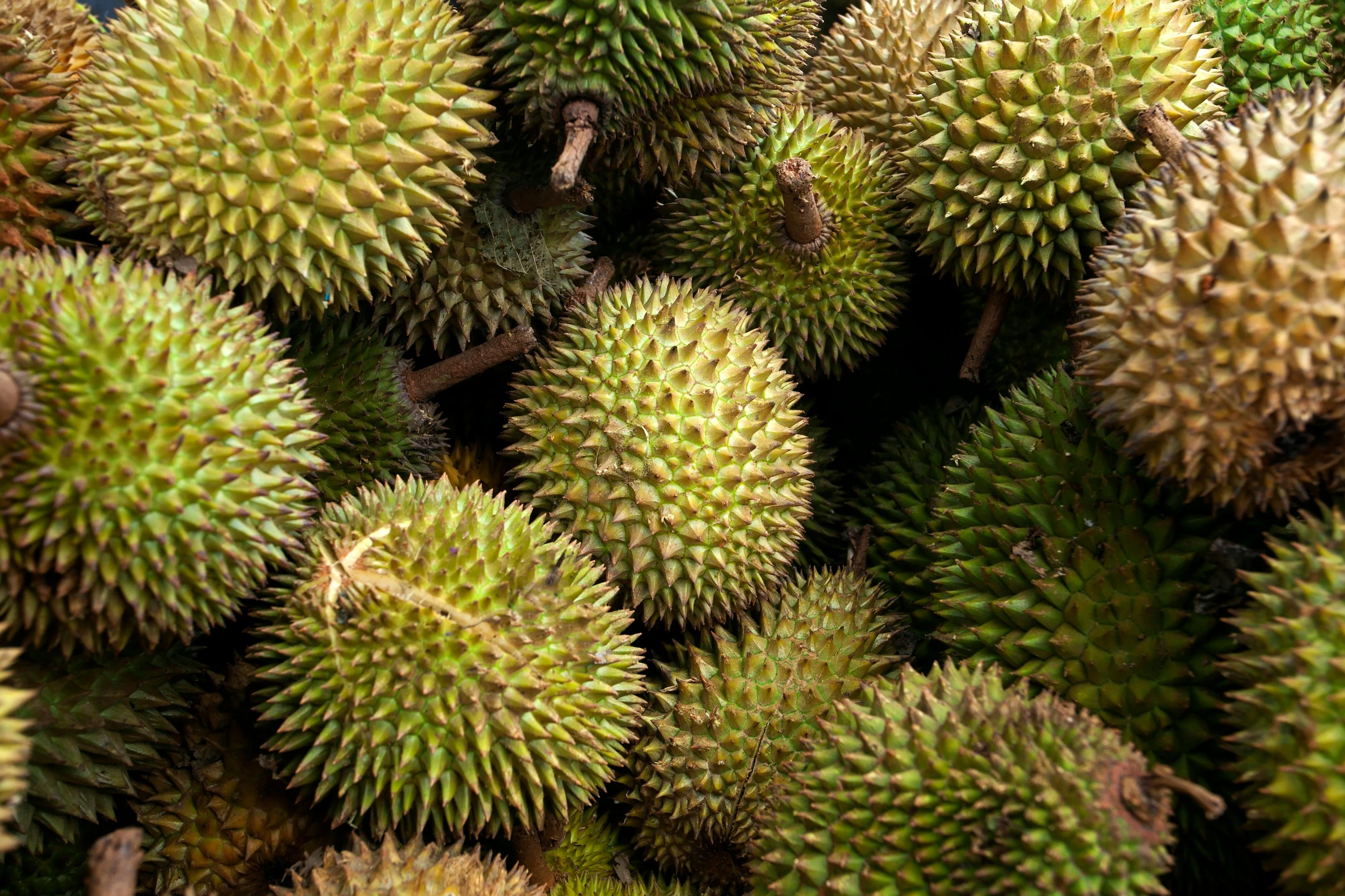 Produksi Tertinggi di Dunia, Zulhas Klaim Durian Pantas Jadi Buah Nasional Indonesia