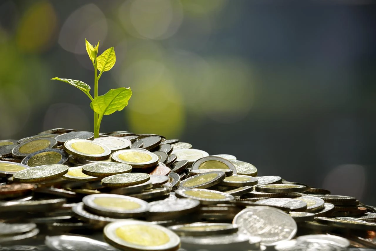 Gejolak Global Tekan Rupiah, Simak Strategi Investasi Cerdas Agar Portofolio Tetap Aman