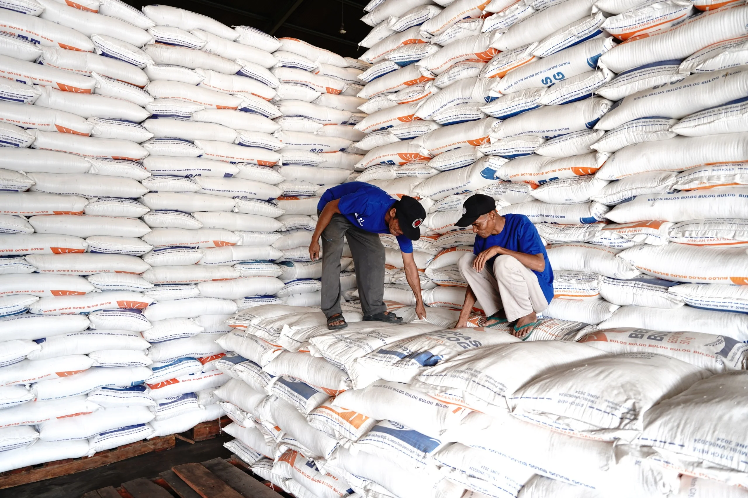 Ekspor Beras ke Singapura Disebut Bisa Serap Surplus Produksi Domestik