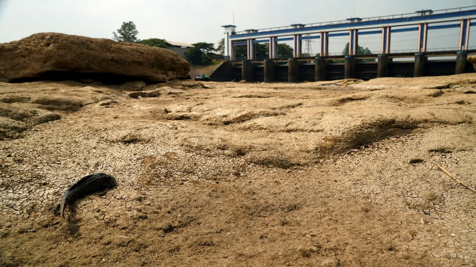 Sungai Cisadane, Kali Cisadane, Pintu Air 10, Bendungan Cisadane, kekeringan, sungai kering, sungai surut, musim kemarau, kemarau panjang, krisis air, dasar sungai, perubahan iklim, krisis lingkungan