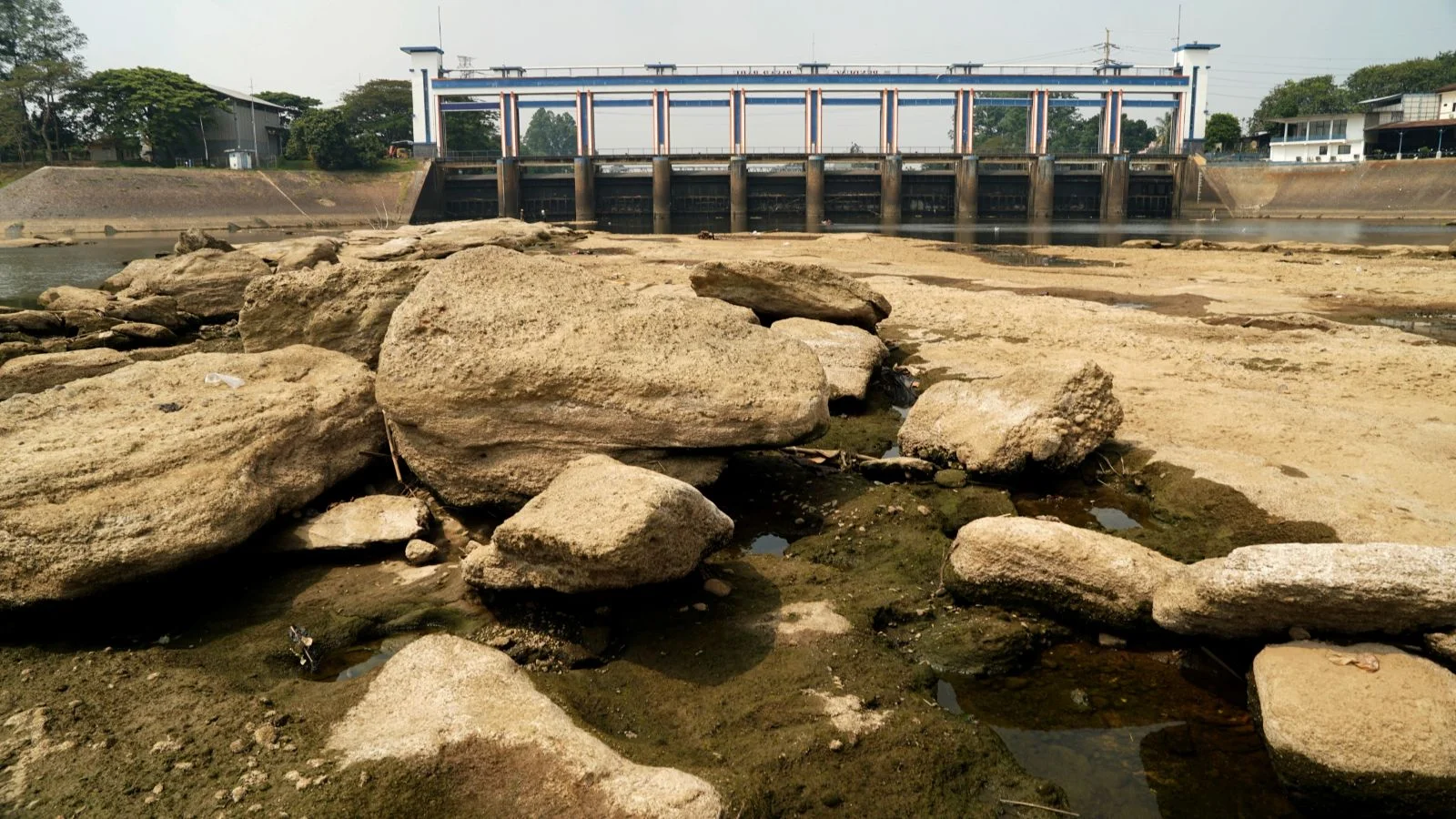 Sungai Cisadane, Kali Cisadane, Pintu Air 10, Bendungan Cisadane, kekeringan, sungai kering, sungai surut, musim kemarau, kemarau panjang, krisis air, dasar sungai, perubahan iklim, krisis lingkungan