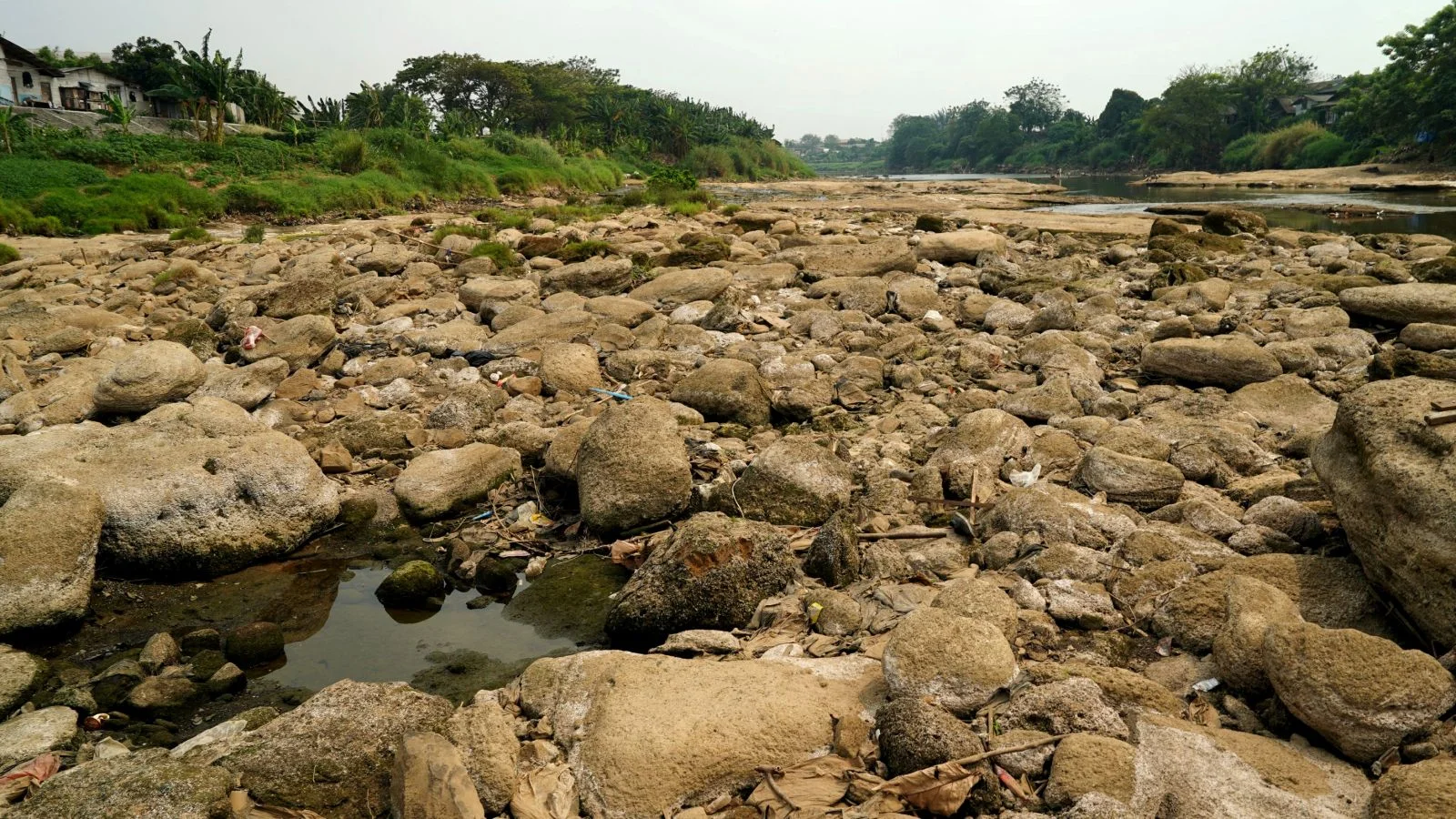 Sungai Cisadane, Kali Cisadane, Pintu Air 10, Bendungan Cisadane, kekeringan, sungai kering, sungai surut, musim kemarau, kemarau panjang, krisis air, dasar sungai, perubahan iklim, krisis lingkungan